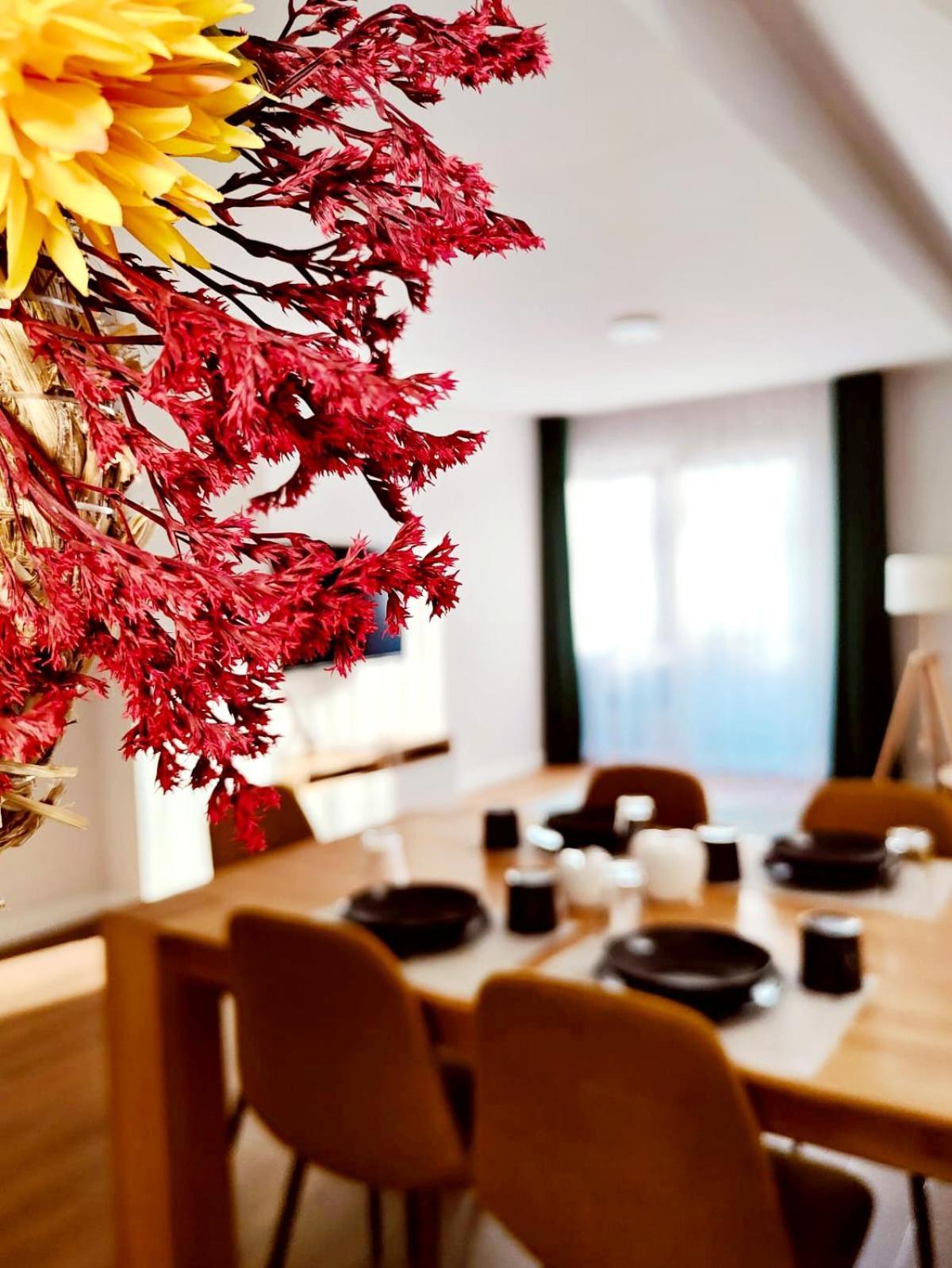 Apartment Bukowa *
